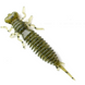 Приманка Нимфа Fanatіk Larva col.001 40mm (1шт) 783 фото