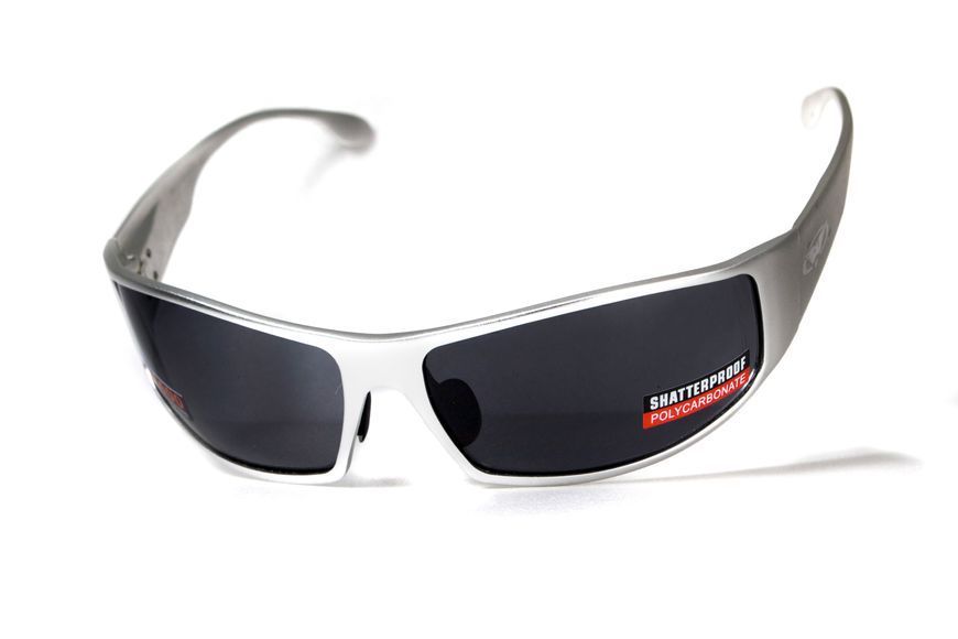 Окуляри захисні Global Vision BAD-ASS-1 Silver (gray) чорні в металевій оправі 1БЕД1-СМ20 фото