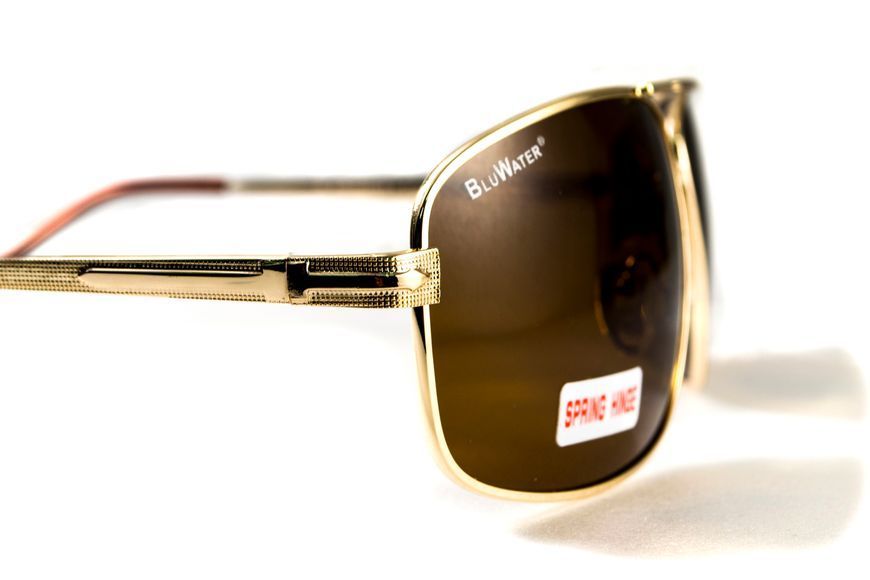 Очки поляризационные BluWater Navigator-2 Polarized (brown) коричневые 4НАВИ2-ЗМ50П фото