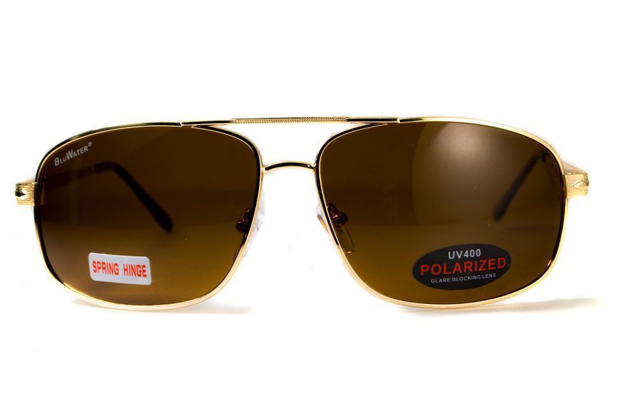 Очки поляризационные BluWater Navigator-2 Polarized (brown) коричневые 4НАВИ2-ЗМ50П фото