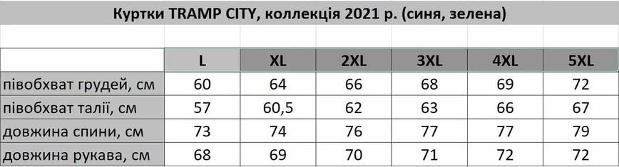 Куртка утепленная City сіро-синя TRFB-012-grey-blue-4XL фото