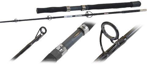 Спиннинг Fishing ROI Big Catfish 1,80m 100-200g 6823 фото