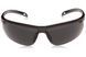 Очки защитные открытые Pyramex Ever-Lite (Anti-Fog) (dark gray) черные 2ЕВЕРАФ-23 фото 2
