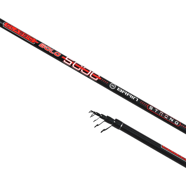 Вудилище болонське Brain Classic Strong Bolo 6.00m 10-30g 112659 фото